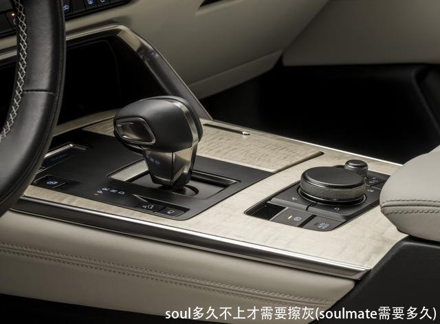 soul多久不上才需要擦灰(soulmate需要多久)