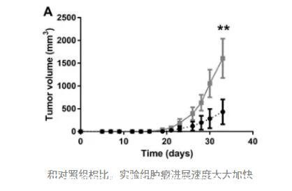 世界五大绝症(世界五大绝症(目前无法治愈))