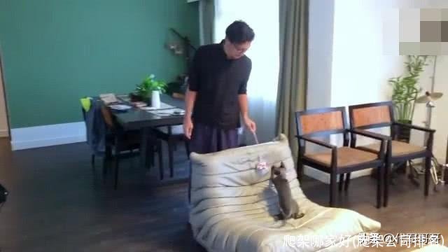 爬架哪家好(爬架公司排名)