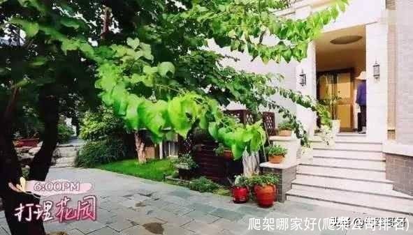 爬架哪家好(爬架公司排名)