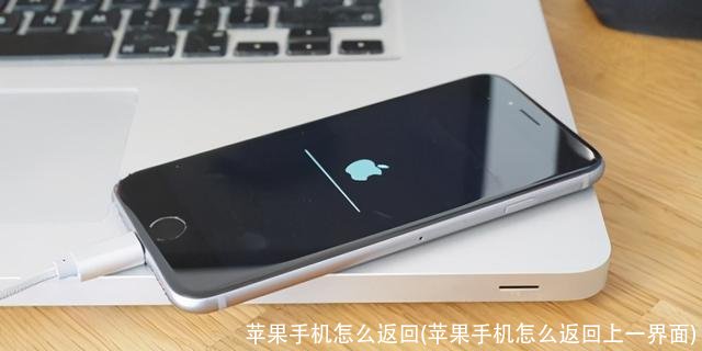 苹果手机怎么返回(苹果手机怎么返回上一界面)