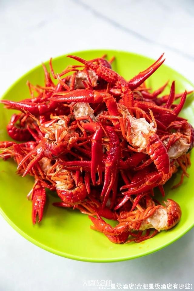 合肥星级酒店(合肥星级酒店有哪些)