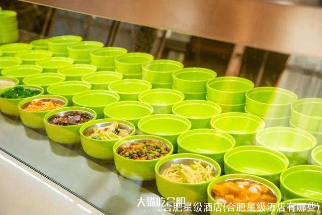 合肥星级酒店(合肥星级酒店有哪些)