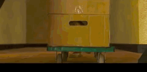 七号房的礼物结局(七号房的礼物结局是好是坏)