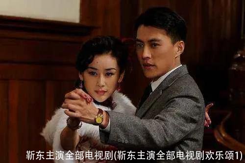 靳东主演全部电视剧(靳东主演全部电视剧欢乐颂1)