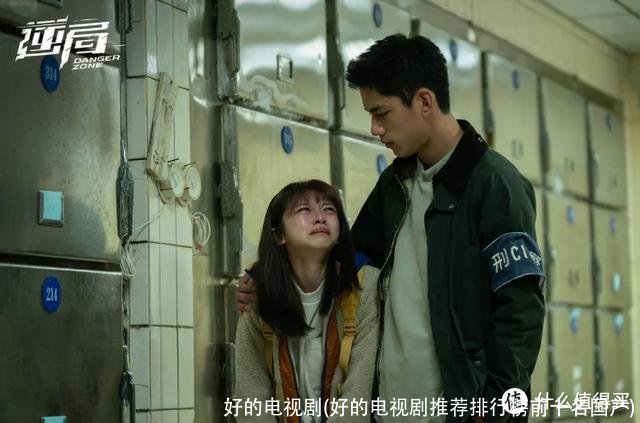 好的电视剧(好的电视剧推荐排行榜前十名国产)