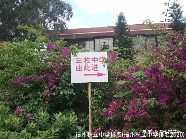福州私立中学排名(福州私立中学排名2020)