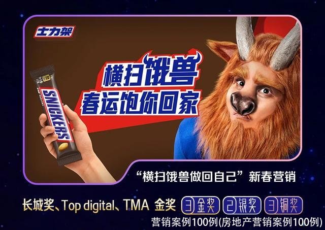 营销案例100例(房地产营销案例100例)