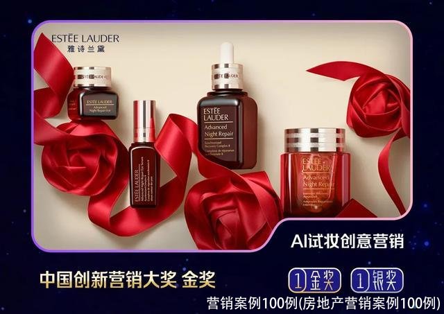 营销案例100例(房地产营销案例100例)