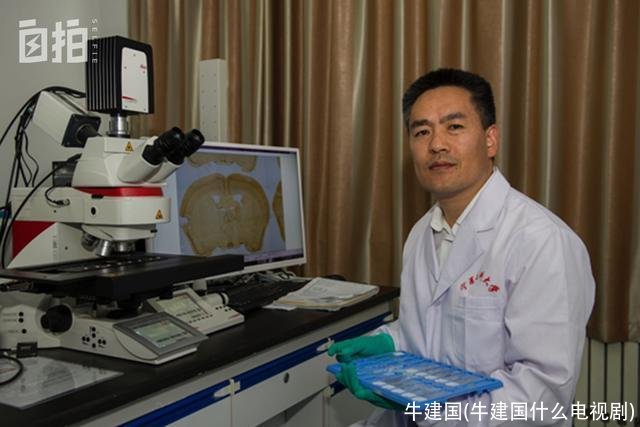 牛建国(牛建国什么电视剧)