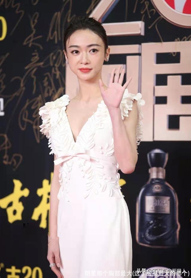 明星那个胸部最大(选了胸部最大的那个)