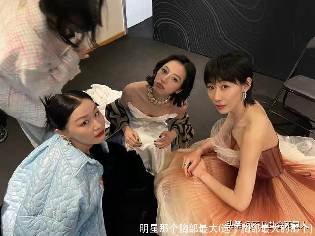 明星那个胸部最大(选了胸部最大的那个)