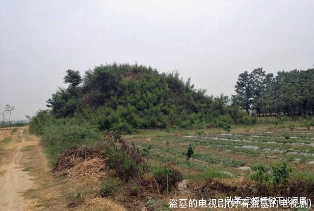 盗墓的电视剧(好看盗墓的电视剧)