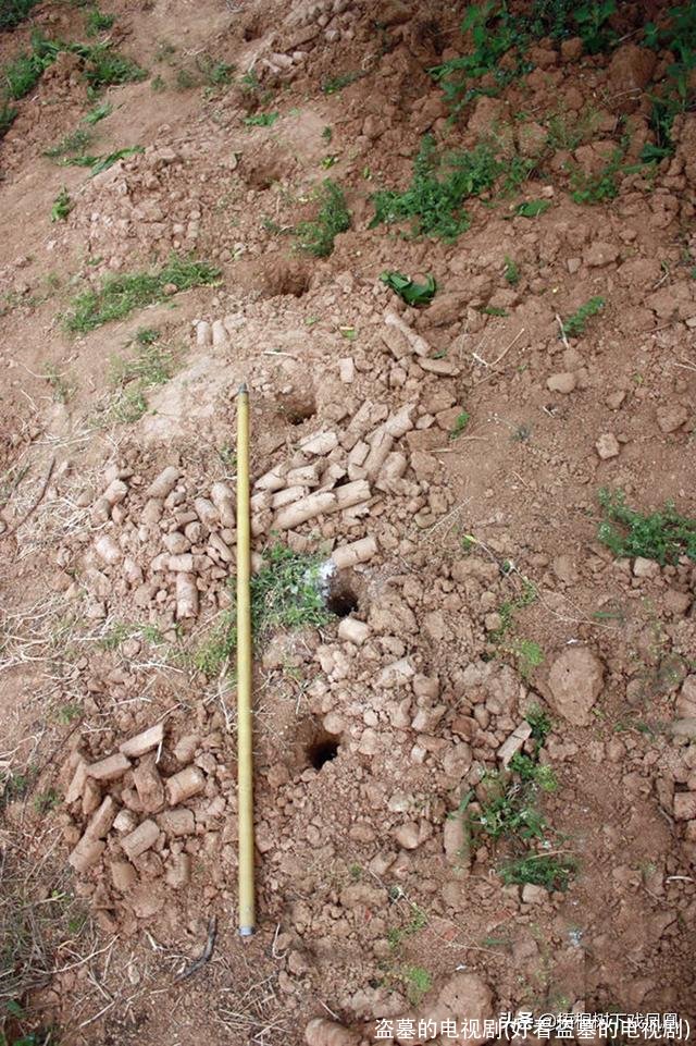 盗墓的电视剧(好看盗墓的电视剧)