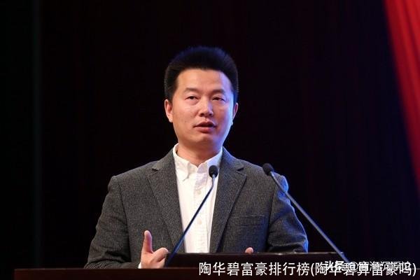 陶华碧富豪排行榜(陶华碧算富豪吗)