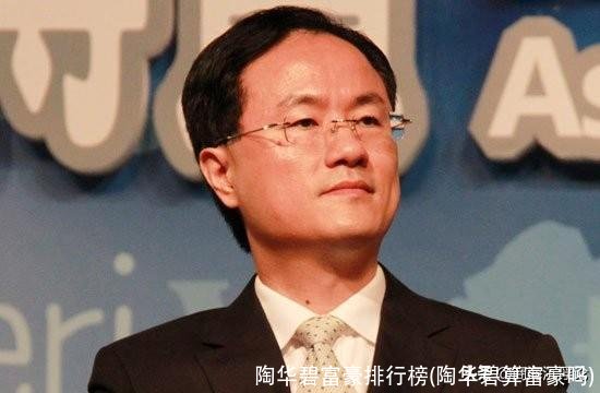 陶华碧富豪排行榜(陶华碧算富豪吗)