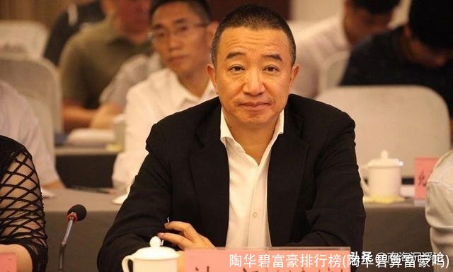 陶华碧富豪排行榜(陶华碧算富豪吗)