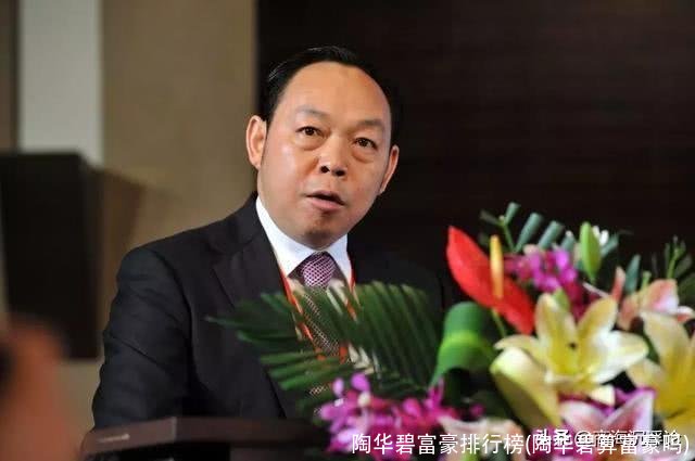 陶华碧富豪排行榜(陶华碧算富豪吗)