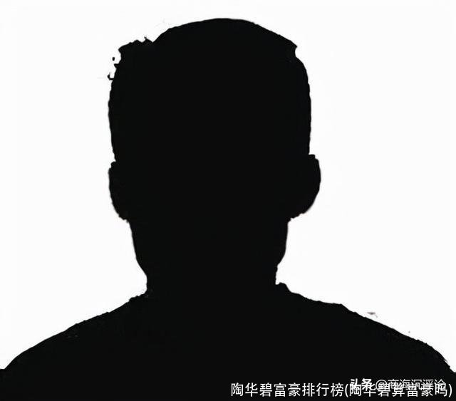 陶华碧富豪排行榜(陶华碧算富豪吗)