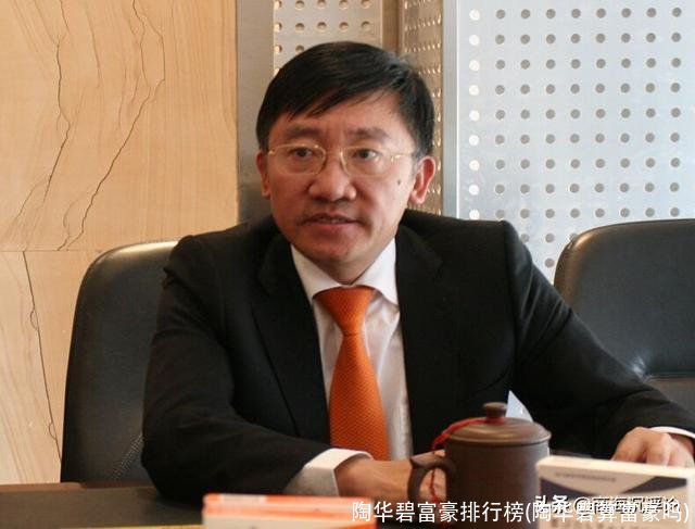 陶华碧富豪排行榜(陶华碧算富豪吗)