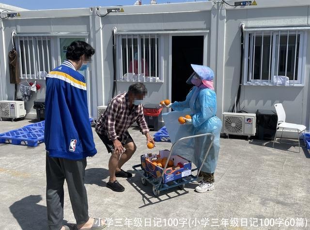 小学三年级日记100字(小学三年级日记100字60篇)