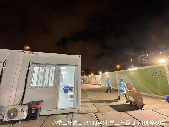 小学三年级日记100字(小学三年级日记100字60篇)