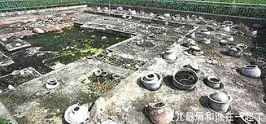 夏儿最后和谁在一起了