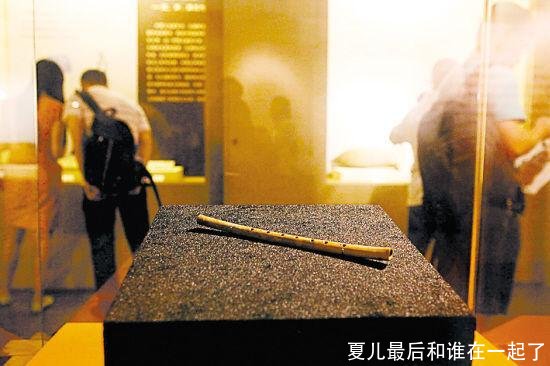 夏儿最后和谁在一起了