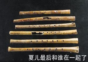 夏儿最后和谁在一起了