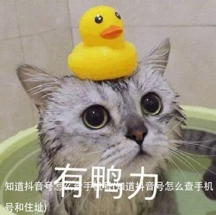 知道抖音号怎么查手机号(知道抖音号怎么查手机号和住址)