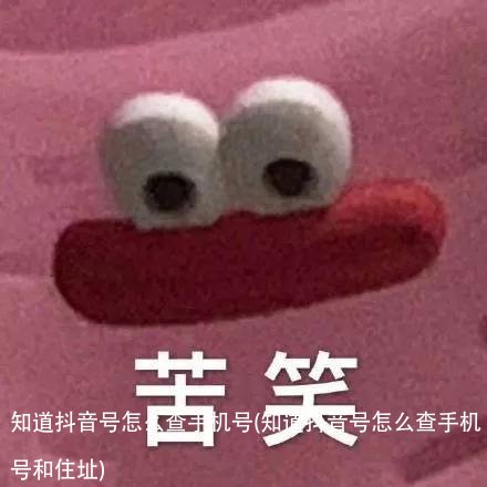 知道抖音号怎么查手机号(知道抖音号怎么查手机号和住址)
