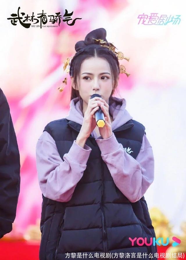 方黎是什么电视剧(方黎洛言是什么电视剧结局)