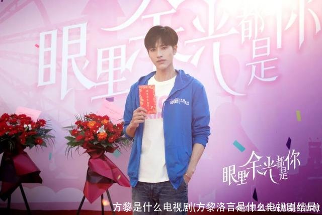 方黎是什么电视剧(方黎洛言是什么电视剧结局)