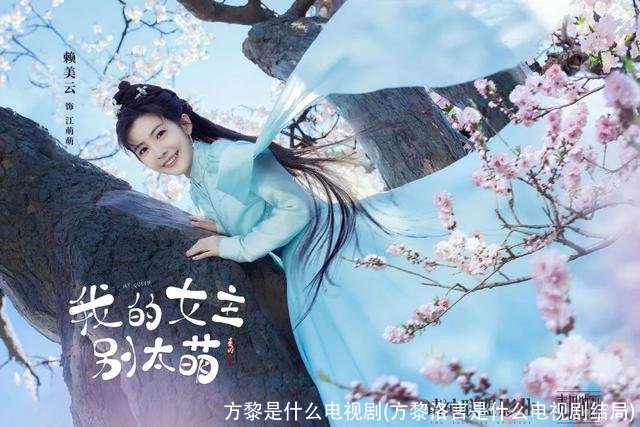 方黎是什么电视剧(方黎洛言是什么电视剧结局)