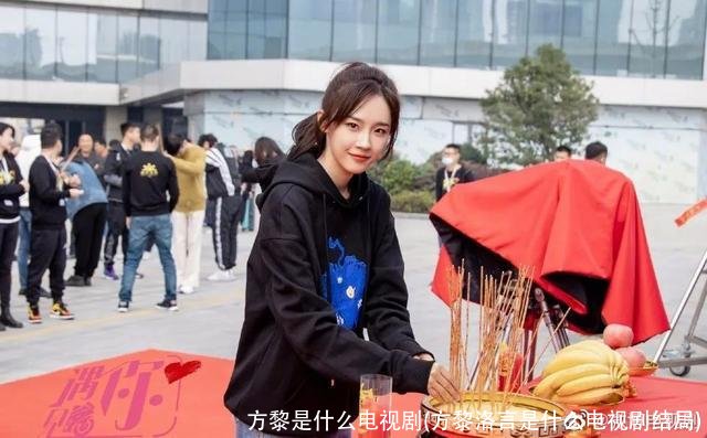 方黎是什么电视剧(方黎洛言是什么电视剧结局)