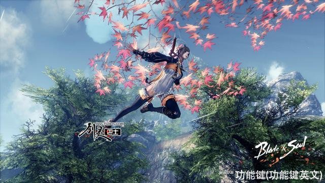 功能键(功能键英文)