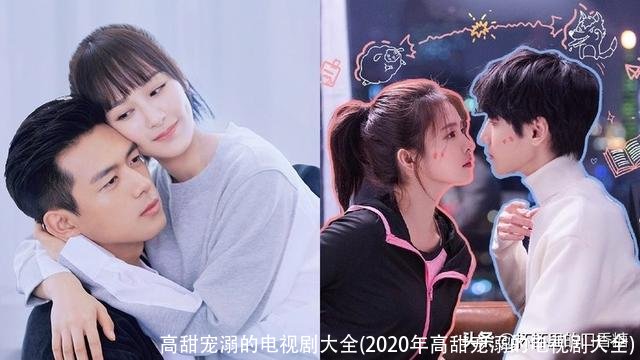 高甜宠溺的电视剧大全(2020年高甜宠溺的电视剧大全)