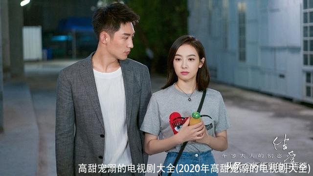 高甜宠溺的电视剧大全(2020年高甜宠溺的电视剧大全)