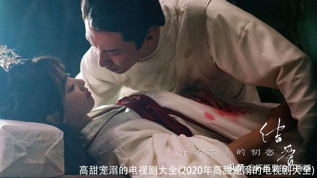 高甜宠溺的电视剧大全(2020年高甜宠溺的电视剧大全)