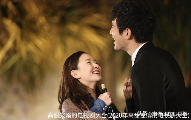 高甜宠溺的电视剧大全(2020年高甜宠溺的电视剧大全)