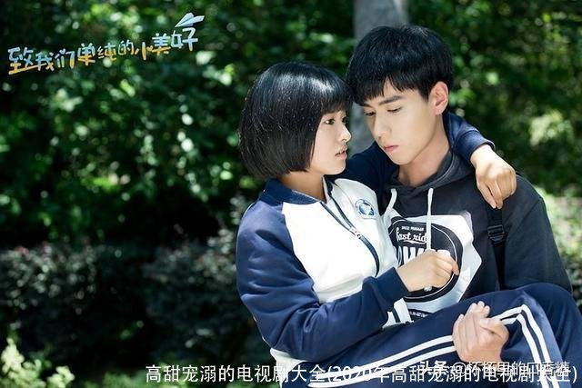 高甜宠溺的电视剧大全(2020年高甜宠溺的电视剧大全)