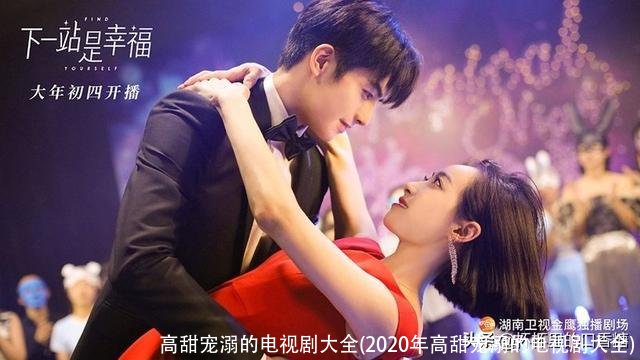 高甜宠溺的电视剧大全(2020年高甜宠溺的电视剧大全)