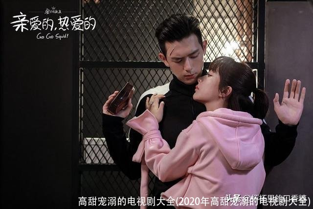 高甜宠溺的电视剧大全(2020年高甜宠溺的电视剧大全)