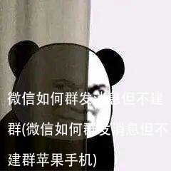 微信如何群发消息但不建群(微信如何群发消息但不建群苹果手机)