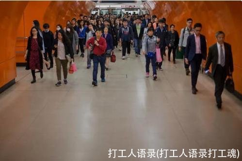 打工人语录(打工人语录打工魂)