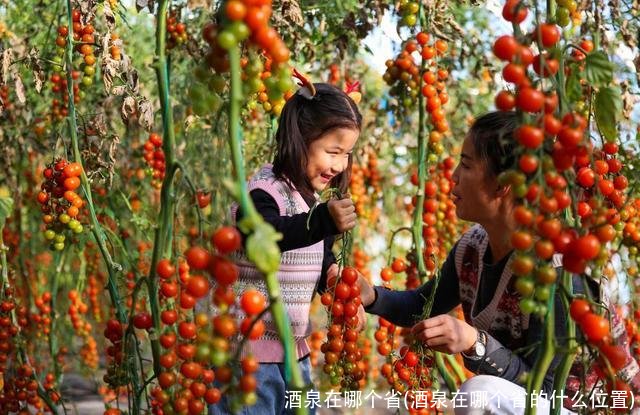 酒泉在哪个省(酒泉在哪个省的什么位置)