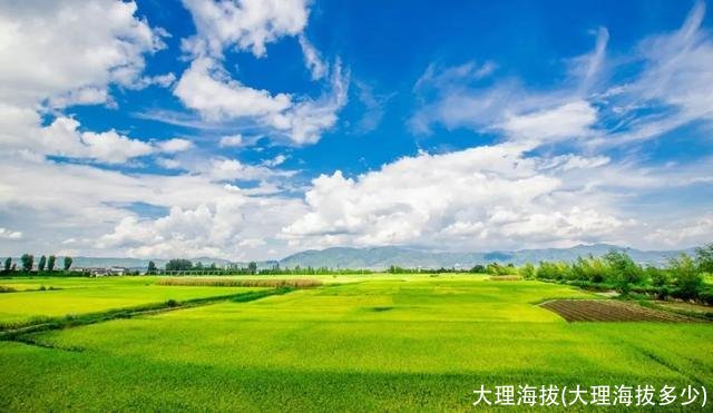 大理海拔(大理海拔多少)