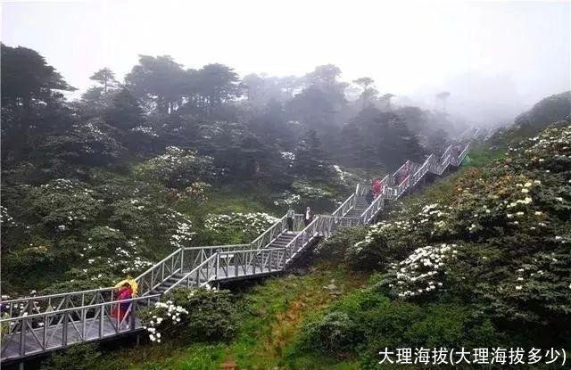 大理海拔(大理海拔多少)