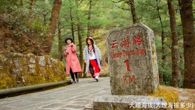 大理海拔(大理海拔多少)