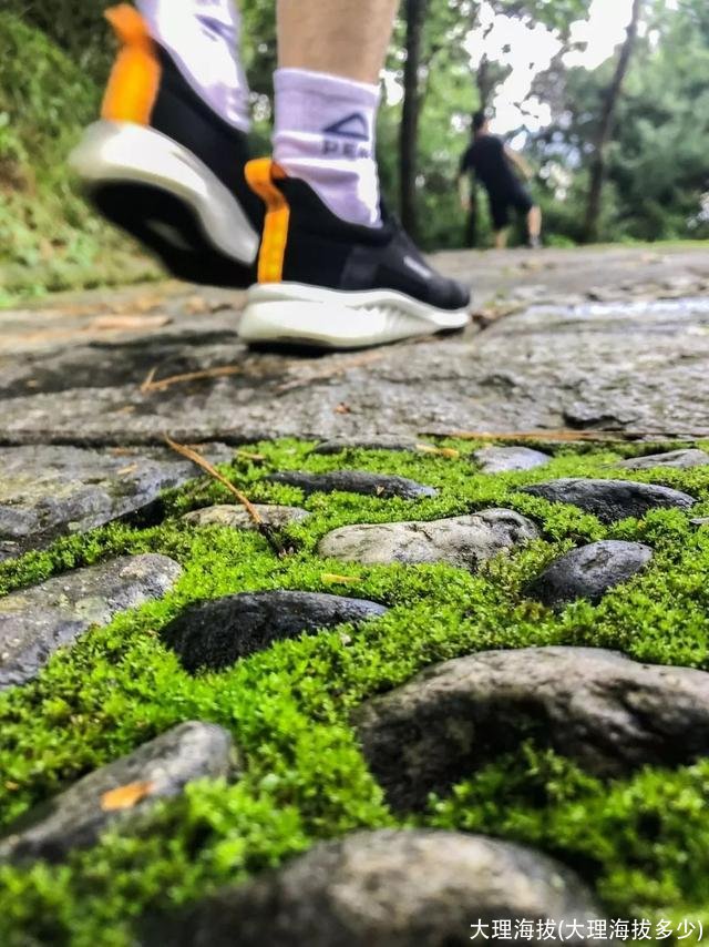 大理海拔(大理海拔多少)